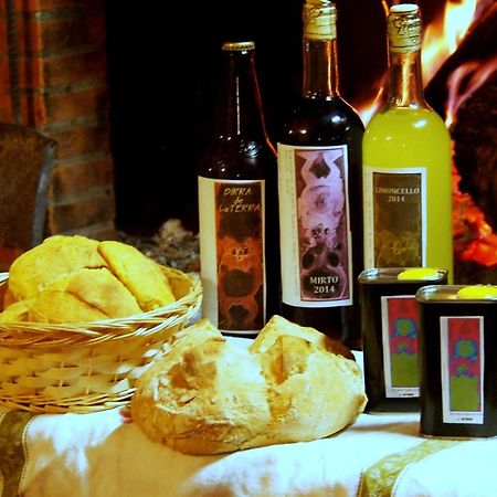 Valiano Agriturismo La Terra מראה חיצוני תמונה