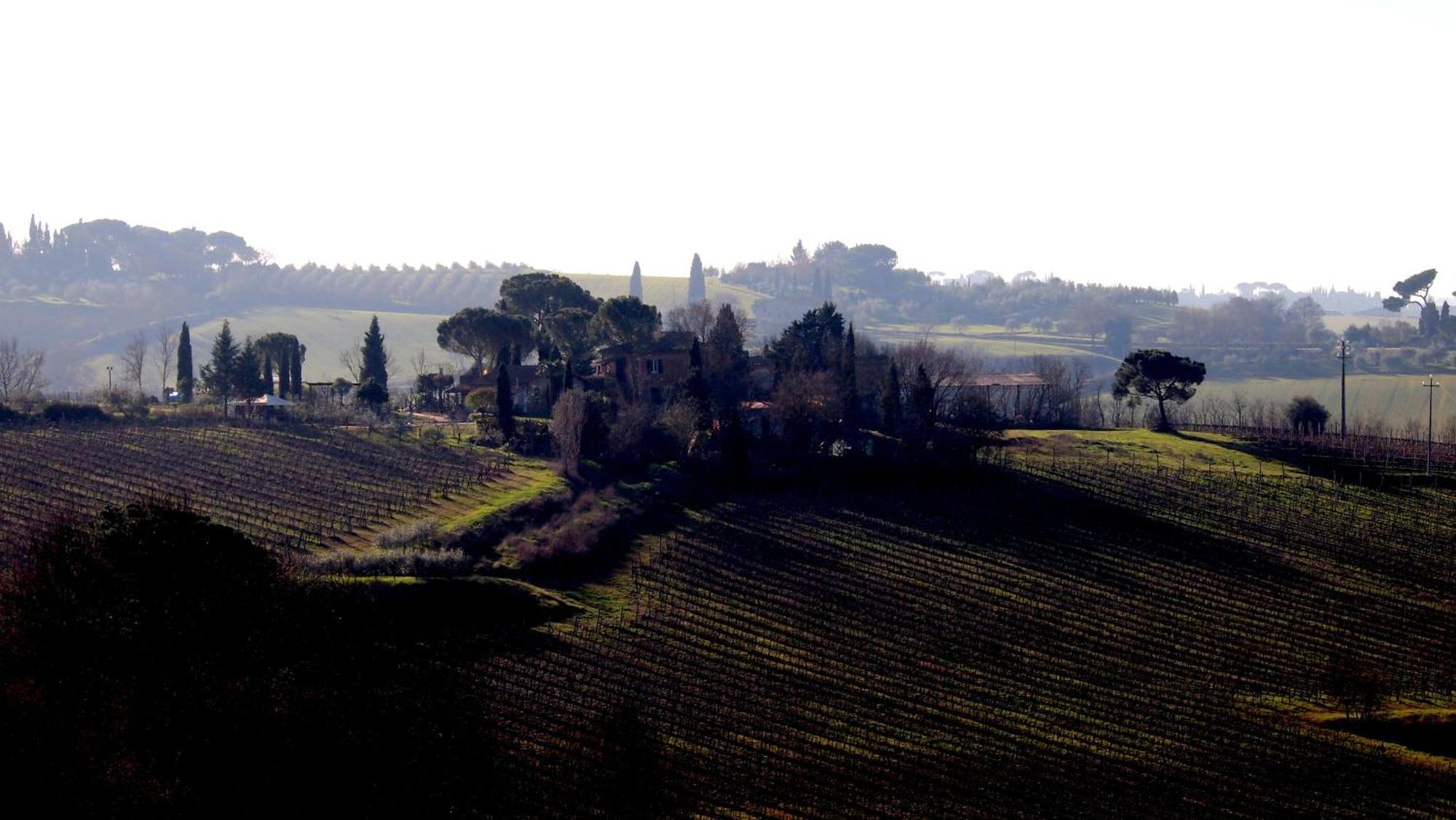 הוילה Valiano Agriturismo La Terra מראה חיצוני תמונה