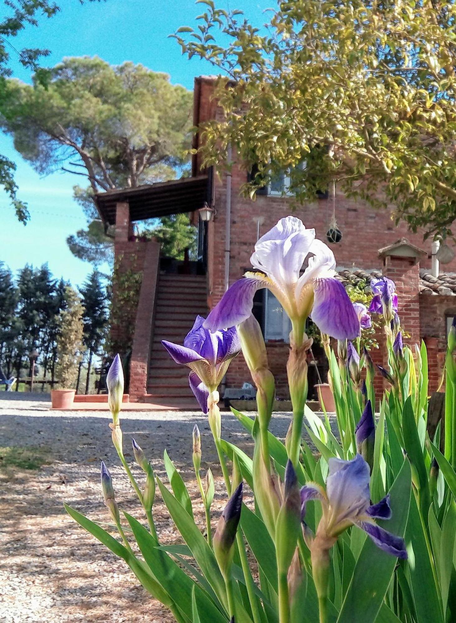 Valiano Agriturismo La Terra מראה חיצוני תמונה