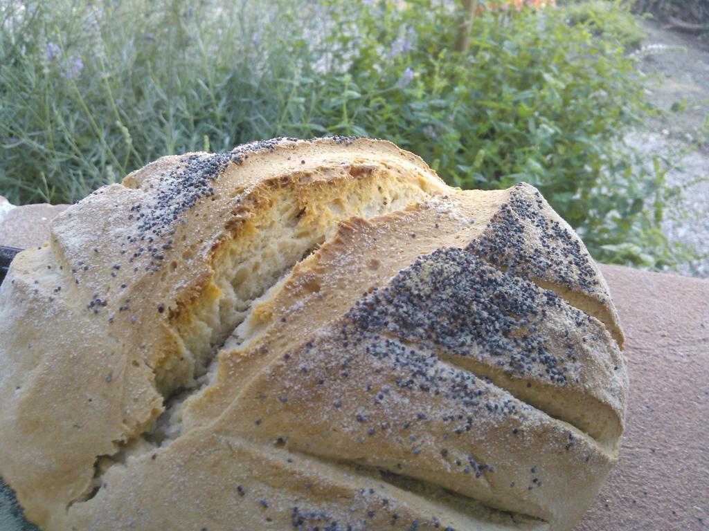 Valiano Agriturismo La Terra מראה חיצוני תמונה