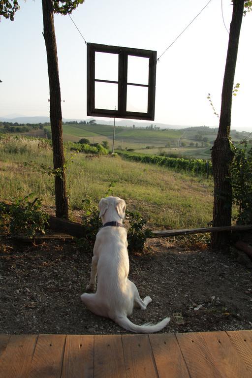 Valiano Agriturismo La Terra מראה חיצוני תמונה